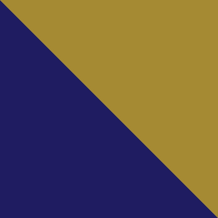 Blue/Gold